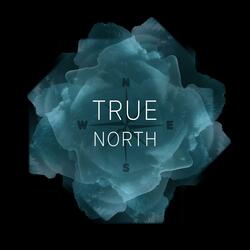 True North