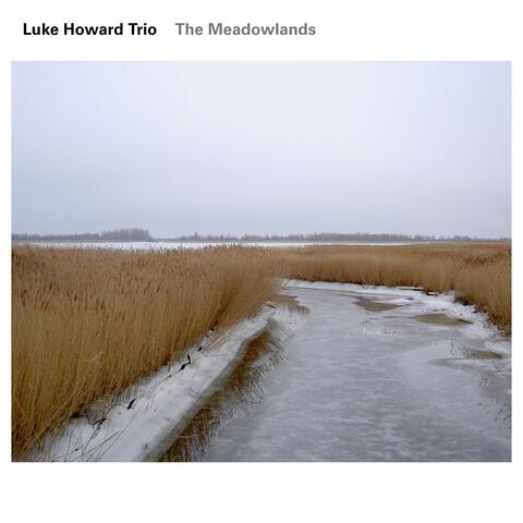 The Meadowlands