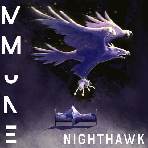 Nighthawk