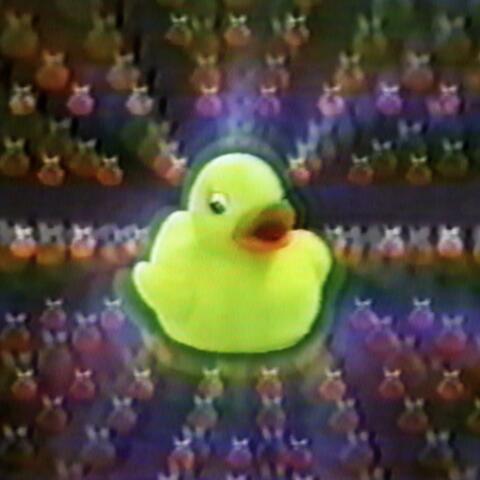Duck Attack