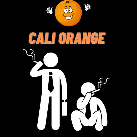 Cali Orange (feat. HippyNinjaTwon)