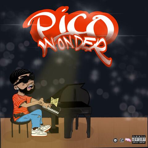 Pico Wonder