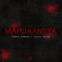 Marjaaneya (feat. Talha Anjum)