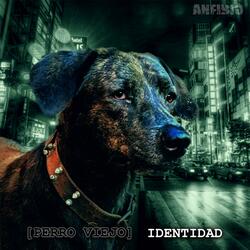 (Perro Viejo) Identidad