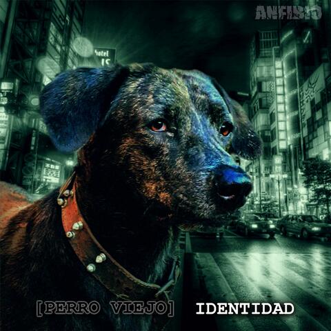 (Perro Viejo) Identidad