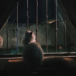 Lunar Loft
