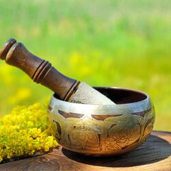 Singing Bowls & Evening Forest Sounds