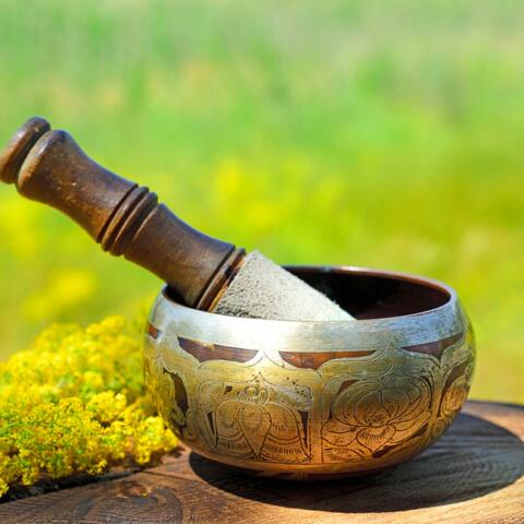 Singing Bowls & Evening Forest Sounds