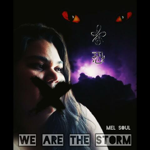 We Are The Storm