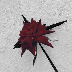 Intro