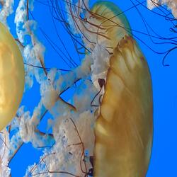 We Get High (feat. Wolde)