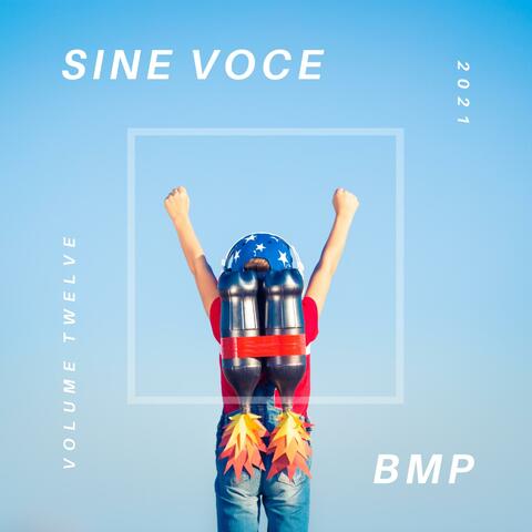 Sine Voce, Volume Twelve