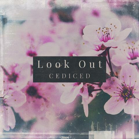 Look Out