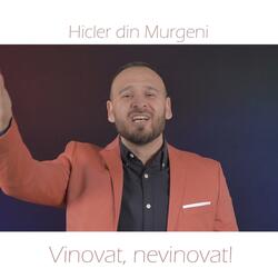 Vinovat, nevinovat!?