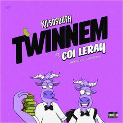 Twinnem