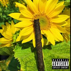 Sunflower (feat. 13 Shots)