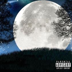 FOR THE NIGHT (feat. 13 Shots)