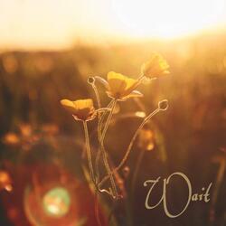 Wait (feat. Timmons)