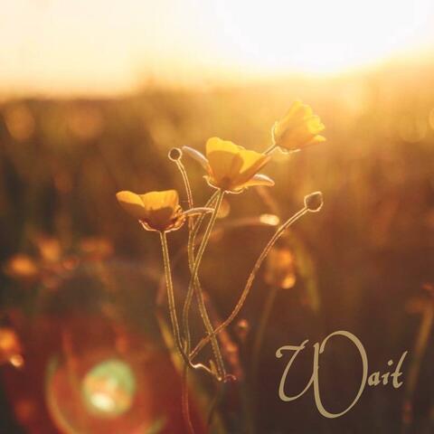 Wait (feat. Timmons)