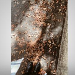 Hello Fall