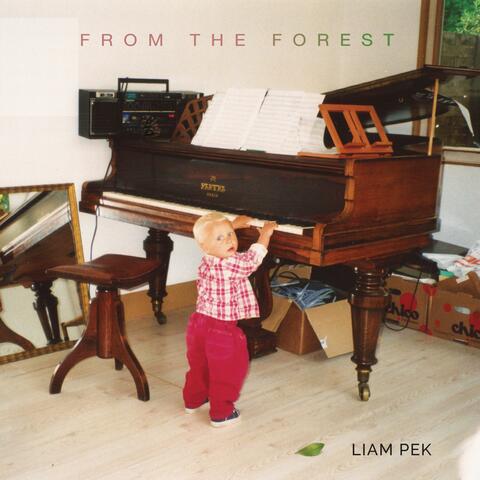 From The Forest