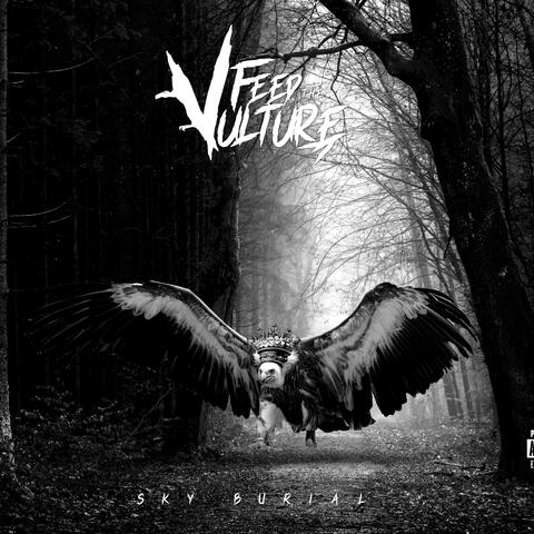 Sky Burial - Instrumental