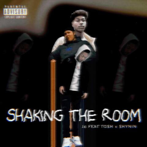 Shaking The Room (feat. $hynin & To$h)