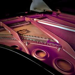 Always and never surprised