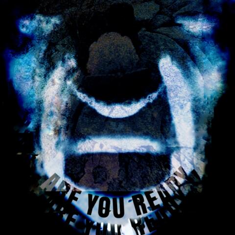 Are you ready