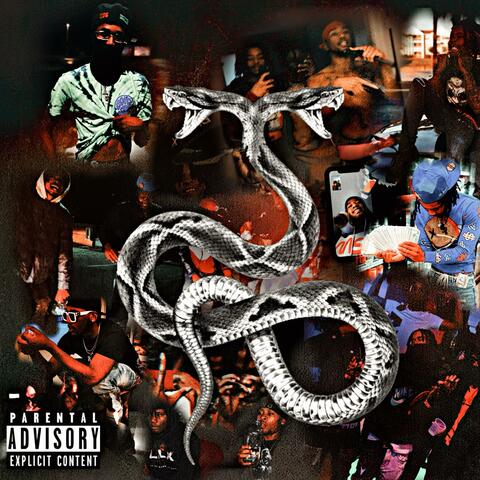 Welcome To Da Jungle