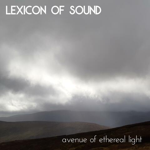Avenue of Ethereal Light