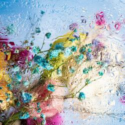 The Disadvantages of Air Fryer