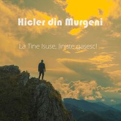 La tine Isuse, liniste gasesc!
