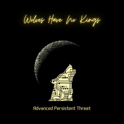 Advanced Persistent Threat