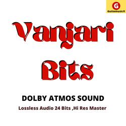 Vanjari Bits