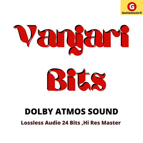 Vanjari Bits