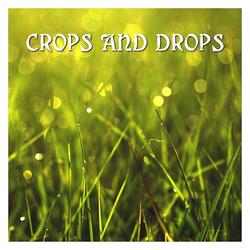 Crops and drops