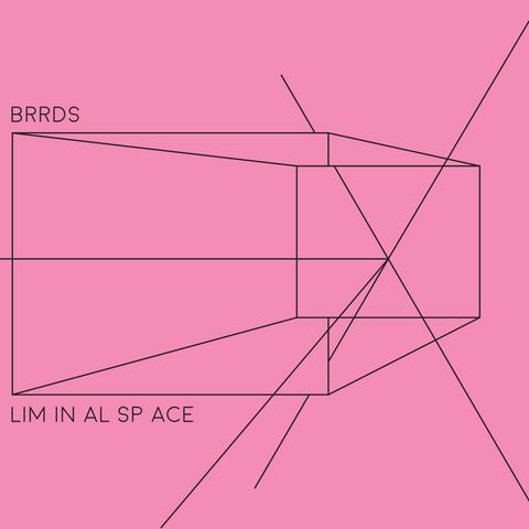 LIM IN AL SP ACE