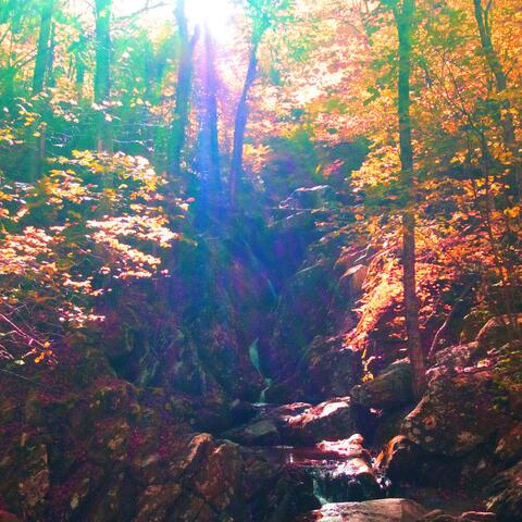 Autumnal Meditations
