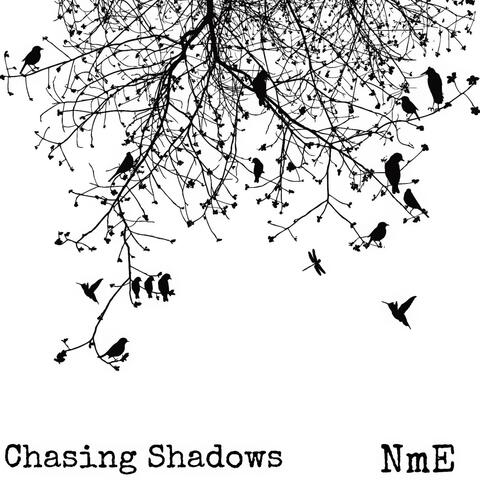 Chasing Shadows
