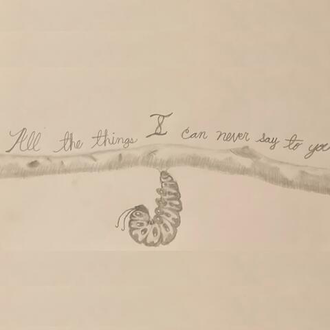 All The Things I Can Never Say To You