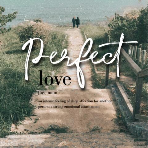 Perfect Love (feat. Janel Whelchel)