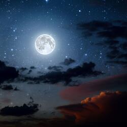 Dream's Dream
