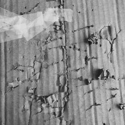 The Death of the Party