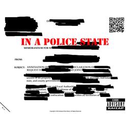 In a Police State