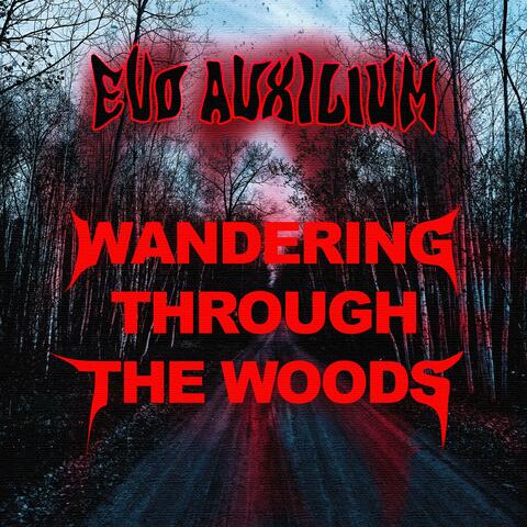 WANDERING THROUGH THE WOODS
