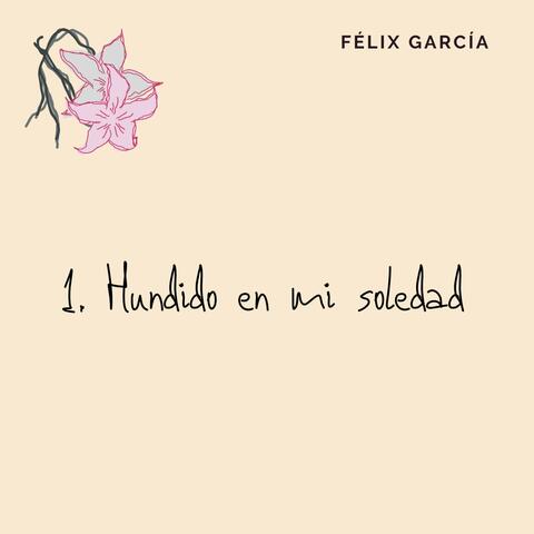 Hundido en mi soledad