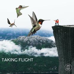 Taking Filght