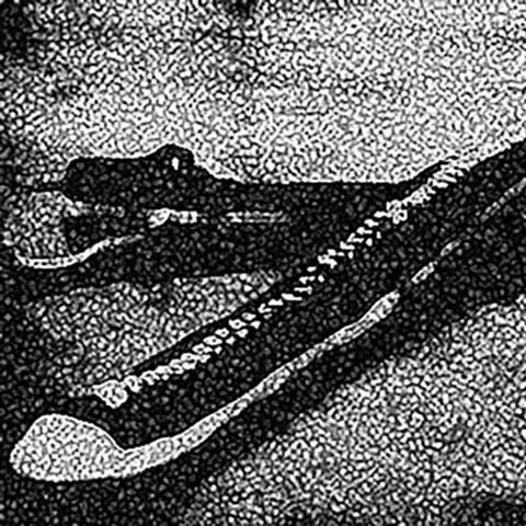 Night Hawks (Demo)