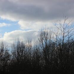 Before The Storm (feat. Khalil Yaasi & dylantheinfamous)